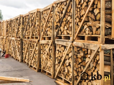 Te dwa gatunki drewna uważane są za najlepsze do kominka. W porównaniu wygrywa zdecydowanie ten pierwszy