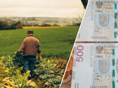 Kolejny cios w rolników. Opłaty za pracowników w gospodarstwach wzrosną 4-krotnie