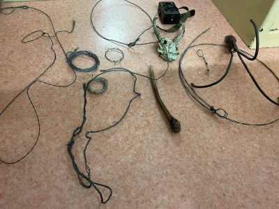 Zastawił wnyki na psy, jeden nie żyje. Grozi mu do 5 lat więzienia