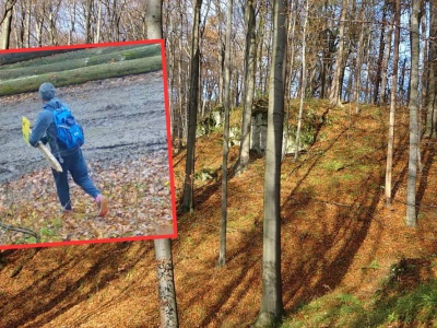 Lasy Państwowe pokazały nagranie z lasu. 