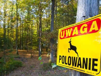 Kolejny śmiertelny postrzał na polowaniu. Ministra klimatu zareagowała