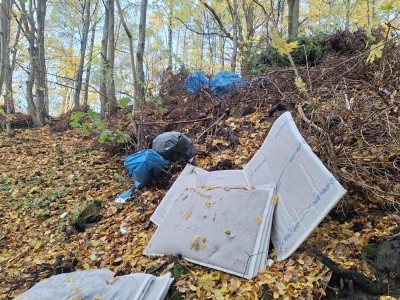 Śmiecił w lesie. Zapłacił mandat i musiał posprzątać