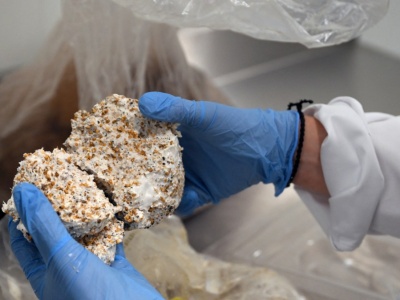 Era plastiku chyli się ku końcowi? Są już pierwsze opakowania z grzybów