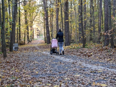 Zielona Góra. Mieszkańcy zachwyceni leśnym deptakiem (ZDJĘCIA)