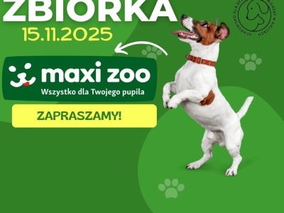 Zbiórka karmy dla zwierząt w Maxi Zoo w Kielcach