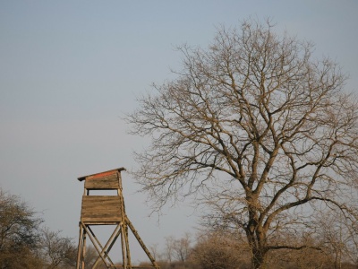Śmiertelny wypadek na polowaniu. Jest zarzut zabójstwa