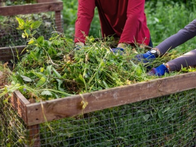 Urzędnicy sprawdzają trawniki i kompostowniki. Od tego mogą zależeć dotkliwe kary