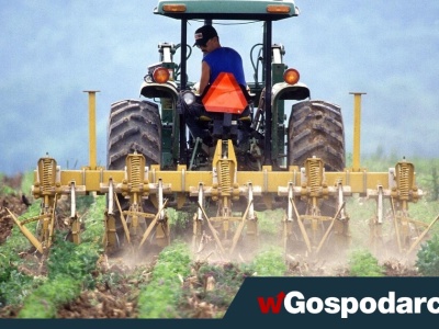 Dla kogo 300 tys. na start?