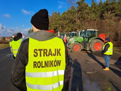 Będą dopłaty wyrównawcze dla rolników? Jest odpowiedź ministra