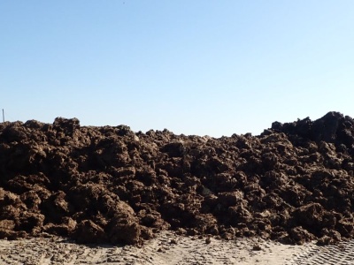 Masz specjalne miejsce na nawozy naturalne? Jeśli nie, nie przegap daty!