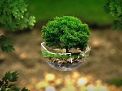 Opłata OZE wzrośnie. Ile więcej zapłacimy za energię elektryczną?