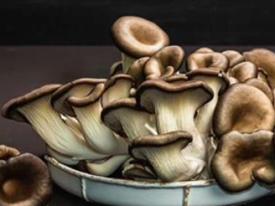 Beta-glukany — naturalny środek wzmacniający odporność, o którym warto wiedzieć