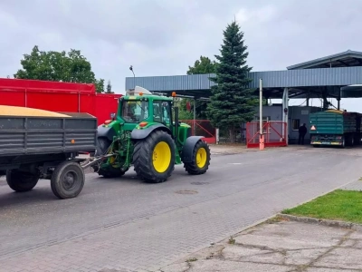 Niskie ceny zbóż duszą rolników. Świnie tanieją, nawozy drożeją