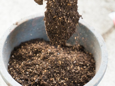 Co zrobić ze starą ziemią po kwiatach i roślinach doniczkowych?