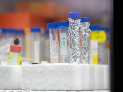 GUS: rośnie liczba firm działających w biotech i nanotech