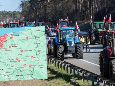 Rolnicy rozpoczęli strajk, ostrzegają, że Polskę zaleje tańsza, ale gorsza żywność