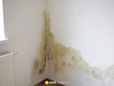 To nie grzyb ani wybrzuszenie. Ciemna plama na ścianie jednak oznacza problemy