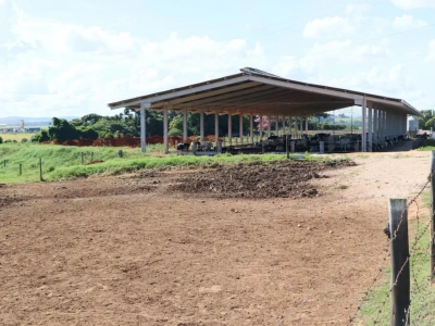 Jakie budowle w gospodarstwie zrobisz bez zgłoszenia? Rolnicy często o tym nie wiedzą