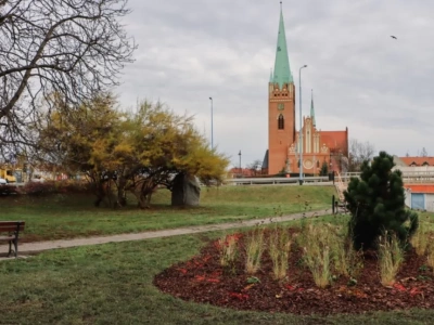 Odnowiono teren zieleńca przy ulicy Jordana w Legnicy. Posadzono ponad 500 roślin