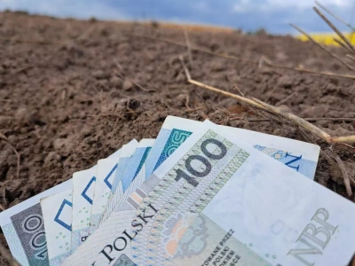 Nawet 120 tys. zł dla małych gospodarstw. Jakie warunki dofinansowania?