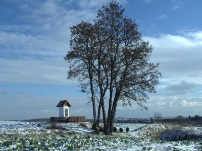 Podkarpacie – kraina kapliczek i krzyży przydrożnych? Fenomen kulturowy, który znika po cichu