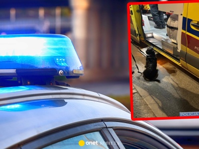 Wrocław. Pies uratował życie 71-letniemu mężczyźnie