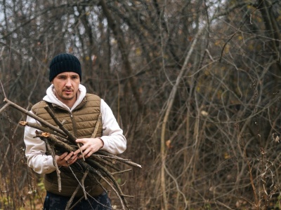 Leśnicy zapraszają do lasów. Drewno czeka