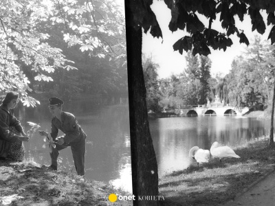 Wypoczynek w parkach i wyjazdy poza miasto. Jesień w PRL-u na zdjęciach