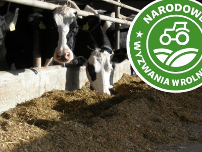 Nowa era w hodowli bydła to ewolucja czy rewolucja? Weź udział w najważniejszej konferencji dla rolników