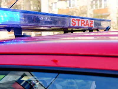 Wstrząsające odkrycie w lesie. Ciało bez butów