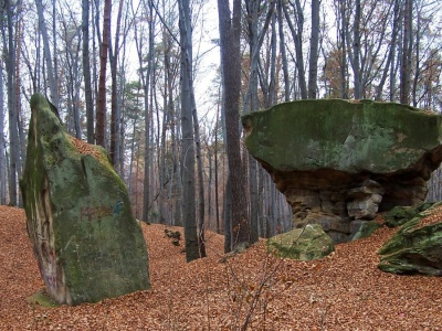 To urokliwe miejsce jest ostoją przyrody. A Polacy jakby o nim zapomnieli