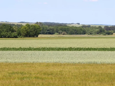 Dzierżawa ziemi od państwa – jak to zrobić krok po kroku?