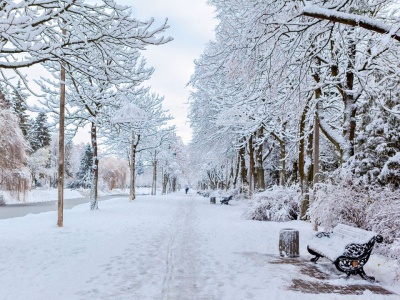 Pogoda na Boże Narodzenie 2025. Wiadomo, czy będą białe święta