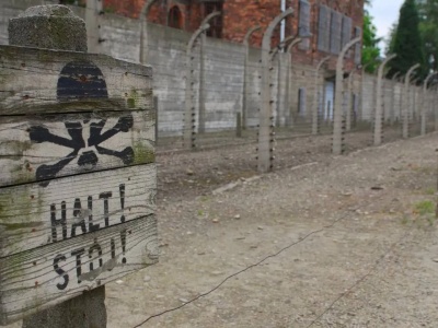 Jest pismo z Polski o wstrzymanie skandalicznej aukcji w Niemczech. Wydarzenie narusza prawo