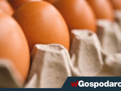 Jaja drożały i drożeją. „Chwilowo popyt doścignął podaż”