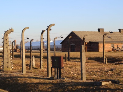 Muzeum Auschwitz: apelujemy o przekazywanie nam wszelkich pamiątek poobozowych