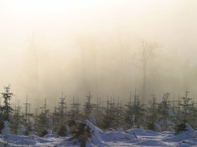Zimowe widoki jak z bajki? Wybierz się na Wielką Sowę. Szlaki dla początkujących i zaawansowanych