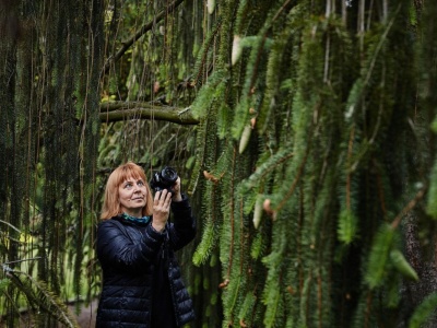 Szczeliny Łodzi | Małgorzata Godlewska, „Drzewostany i mapa drzew”