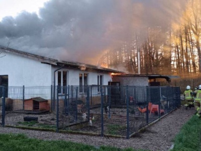 Pożar w schronisku dla zwierząt. Placówka ruszyła ze zbiórką. Pracownicy apelują do Polaków