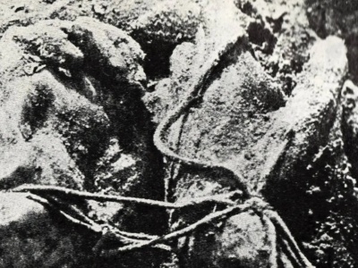 Niemcy chcieli sprzedawać też artefakty z Katynia! Zażądano ich wycofania i wysłania do Polski