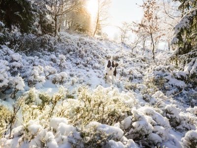 Duża zmiana w pogodzie. Nadciąga mróz i śnieg