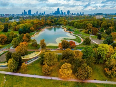 Pole Mokotowskie z nowymi nasadzeniami. Park rośnie w siłę