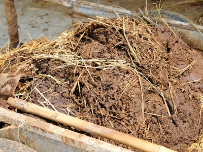 Rośliny rosną po nim jak na drożdżach, wystarczy wylać na grządki. Warto go dorzucić też do kompostu