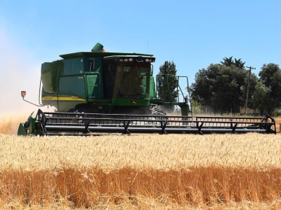 300 tysięcy złotych dotacji na sprzęt rolniczy. Czy jest dofinansowanie na zakup ładowarki lub rozrzutnika?