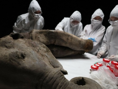 Wyizolowali najstarsze RNA świata. Olbrzym skrywał coś zaskakującego