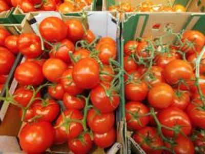 Przebadali polskie pomidory z dyskontów. Oto co w nich wykryli