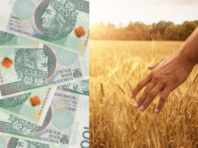 Gdzie są tanie kredyty? Rolnicy alarmują: to fikcja na konferencjach