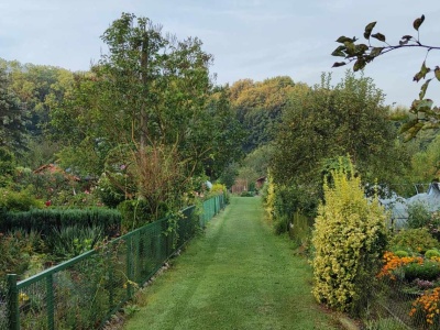 Kraków: rusza nabór wniosków o dotacje dla rodzinnych ogrodów działkowych