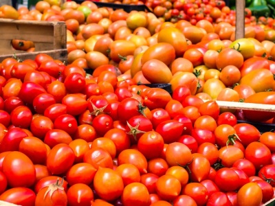 Sprawdzili, czy zimowe pomidory zawierają niebezpieczne związki. Takich wyników nikt się nie spodziewał