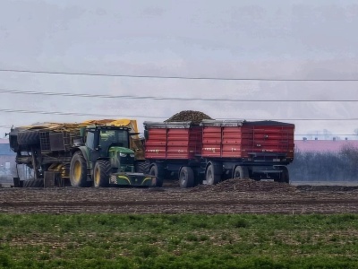 Groźny wypadek podczas zbioru ziemniaków w Sobótce. Dwie kobiety trafiły do szpitala